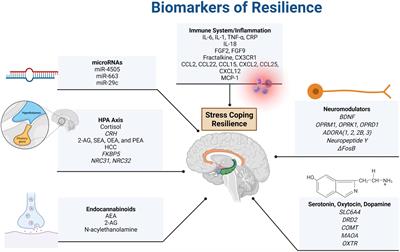 The Molecular Basis of Resilience: A Narrative Review